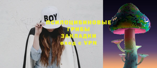 Альфа ПВП Аркадак