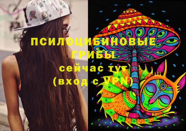 Альфа ПВП Аркадак