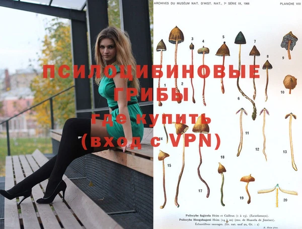 мет Арсеньев
