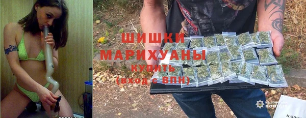 Альфа ПВП Аркадак