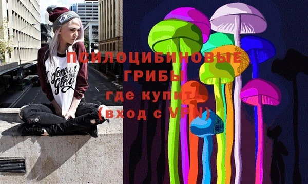 ECSTASY Армянск