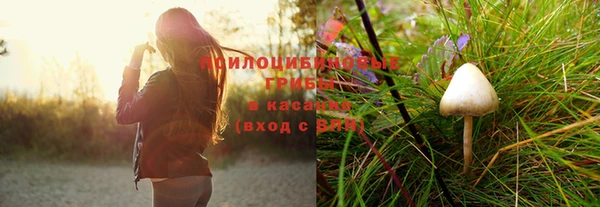 ECSTASY Армянск