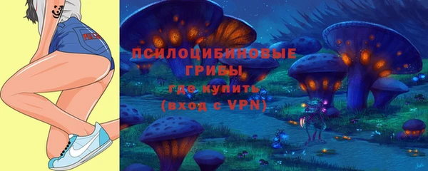 ECSTASY Армянск