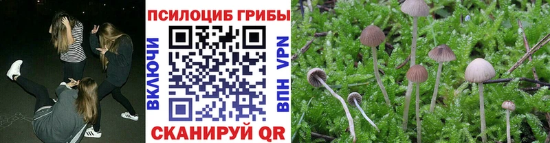 наркота  Черноголовка  маркетплейс как зайти  Галлюциногенные грибы мухоморы 